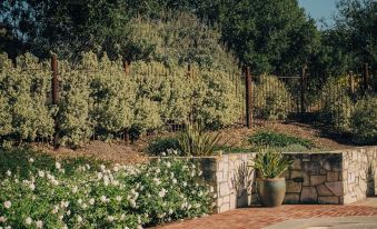 Holman Ranch Estate Vineyard & Winery