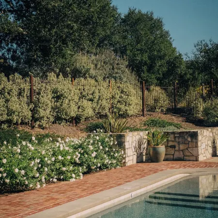 Holman Ranch Estate Vineyard & Winery