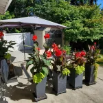 Studio Zen in Kirkland 鄰近Trader Joe's的酒店