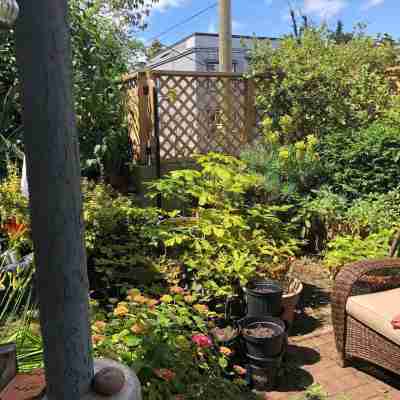 Kits beach garden apartment. PETS+Children Welcome Hotel Exterior