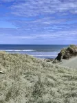 GreatHoliday Home Literally walk in with food and walk out . Everything supplied Hotels in Foxton Beach