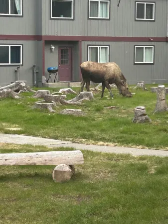 1.5 Miles from the Mouth of the Kenai River.  in the Heart of Kenai! Отели в г. Кенай