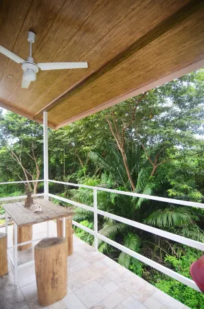 Iguana house very close to the center with a beautiful view in the jungle