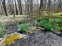 Charming Cottage Rental Near Woodstock  Heated Pool, Fire Pit, Screened Porch