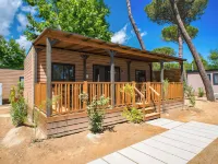 Club del Sole Caldonazzo Family Collection