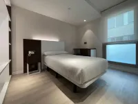 호스탈 레미히오