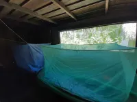 Inti Amazon Lodge - Lupuna Zona 2 - Ramah Hewan Peliharaan