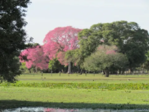 Pousada São João - Estrada Parque Pantanal Hotéis em Corumbá
