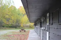 Carolyn Beach Inn Hotels in Bruce Mines