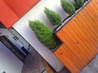 Hotel Bugambilias - Familievenlig