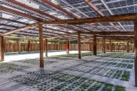 Vila Vagalume Hotels in Trairi