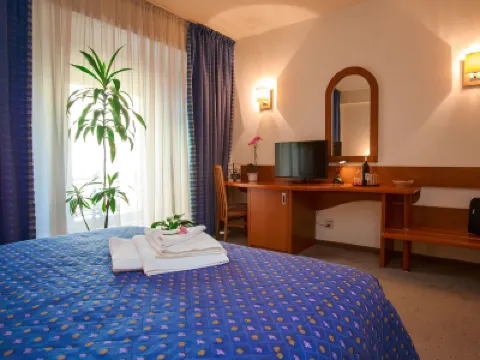 Hotel Irisa Hotels near Arcul de Triumf