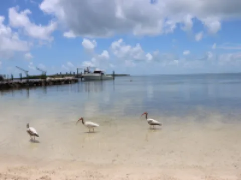 รีสอร์ทอิสแลนด์เบย์ โรงแรมในTavernier