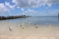Island Bay Resort