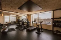 梅森赫勒梅斯，希爾頓好奇精選酒店 - 健身室/gym room