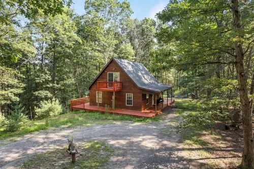 Remote Cabin Surrounded by Wilderness