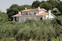 Holiday apartment near Rome - panorama terrace, Sea view -  garden, olive grove Hotel in zona Wanderland