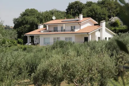Holiday apartment near Rome - panorama terrace, Sea view -  garden, olive grove Отели рядом с достопримечательностью «Professional Growing Grow Shop a Genzano di Roma (RM)»