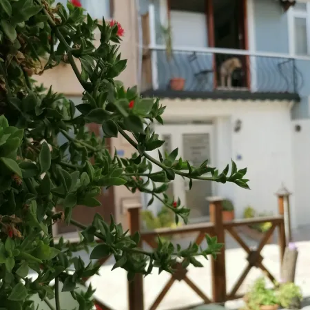 Hotel Mudanya