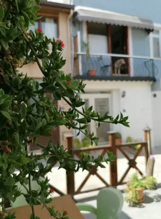 Hotel Mudanya Отели рядом с достопримечательностью «Mudanya Yunus Aniti»