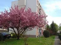 Naturalbnb Hotels in Vaulx-en-Velin