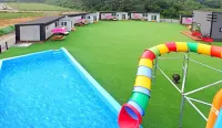 Taean Dog Pension Garibian Bay