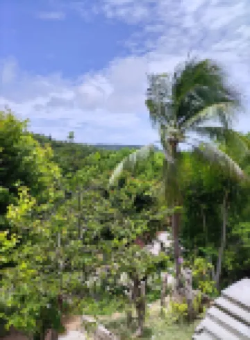 Siquijor Overlooking House 100 Meters Before Cambugahay Falls