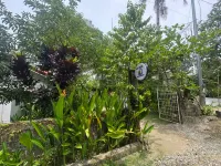 Cozy Studio Retreat in General Luna, Philippines Hotel di 