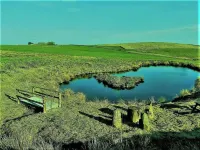 Romantic getaway set in 5 acres.