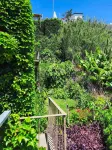 Les Terrasses Suites - Boutique