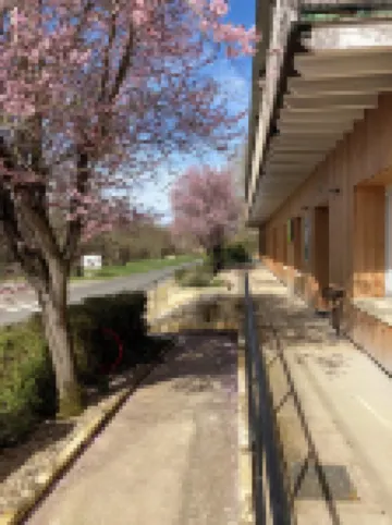 โลจิส โฮเต็ล เลส์ ติลเลิลส์