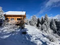 Beautiful modern chalet, exceptional mountain and pine views