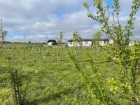 Central Scotland Cosy Farm Stay at Drovers Lodge, Perfect for families and pets! Отели в г. 