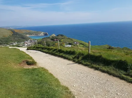 Beautiful cottage in woodland setting close to the Dorset coast
