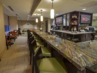 Hilton Garden Inn Buffalo Downtown - bar
