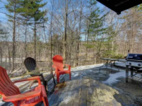 The Knotty Chipmunk - Cozy Condo - Sleeps 6 Hotels in Bartlett