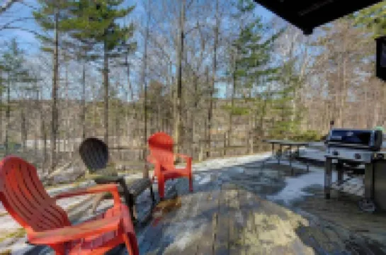 The Knotty Chipmunk - Cozy Condo - Sleeps 6