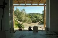 Monte Selvas - um Oásis em Montemor-o-novo