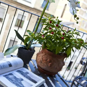 Extended Stay Lenexa Studios