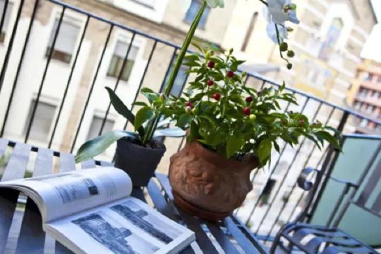 Extended Stay Lenexa Studios