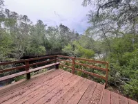 Cozy cabin in beautiful White Springs with WiFi, Hotels in Hamilton County