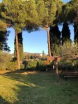 Vacation apartment among olive trees a stone's throw from Lake Trasimeno