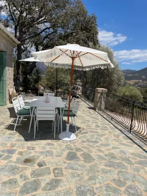 Charming house surrounded by olive trees  otelleri