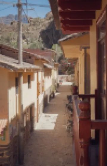 Eucalyptus Home (by Doña Catta)