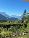 Apartment with terrace and garden for skiers and hikers. Pet friendly! Hotels in Leysin