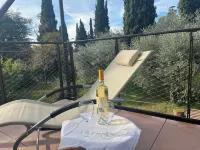 Elegant apartment, villa surrounded by greenery a stone's throw from the lake and the village