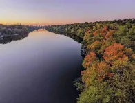 Urban Retreat- Entire House. King beds. Central location.