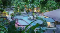 Hotel Los Lagos Spa & Resort - Hot Springs
