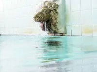 Furusawa Onsen Koyokan Hotels in Kosaka