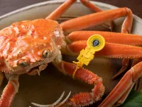 Taichou No Mori Hotels in Nyu District